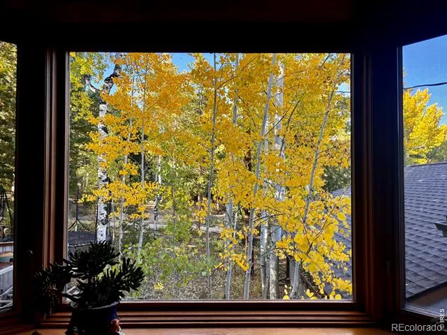 129 Sky View Drive S Nederland, CO 80466