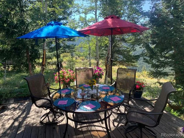 129 Sky View Drive S Nederland, CO 80466