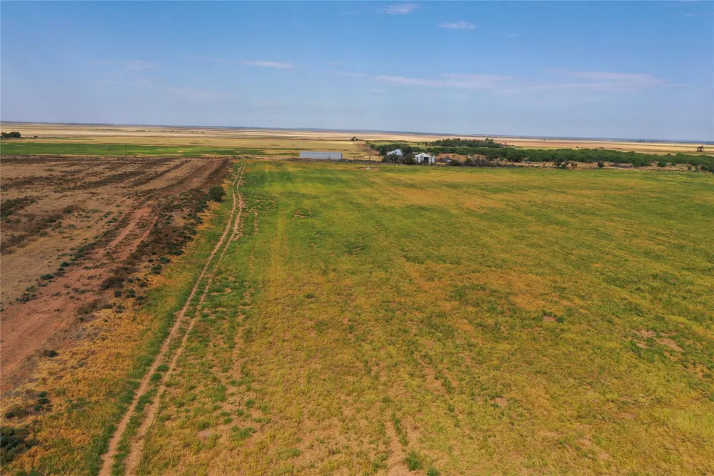 CR 239 Crowell, TX 79227