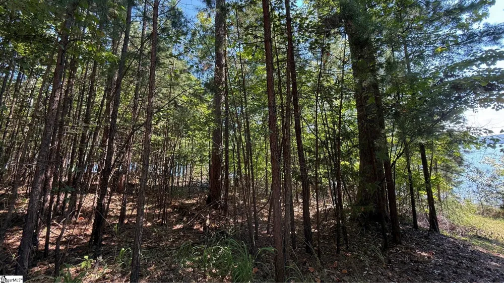 581 Big Creek Way Salem, SC 29676