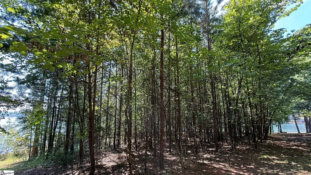 581 Big Creek Way Salem, SC 29676