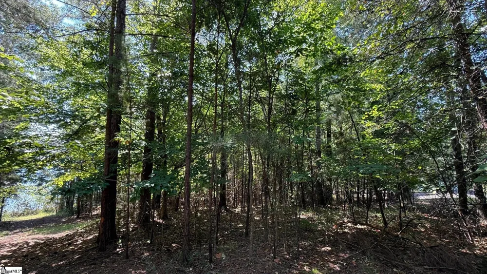 581 Big Creek Way Salem, SC 29676