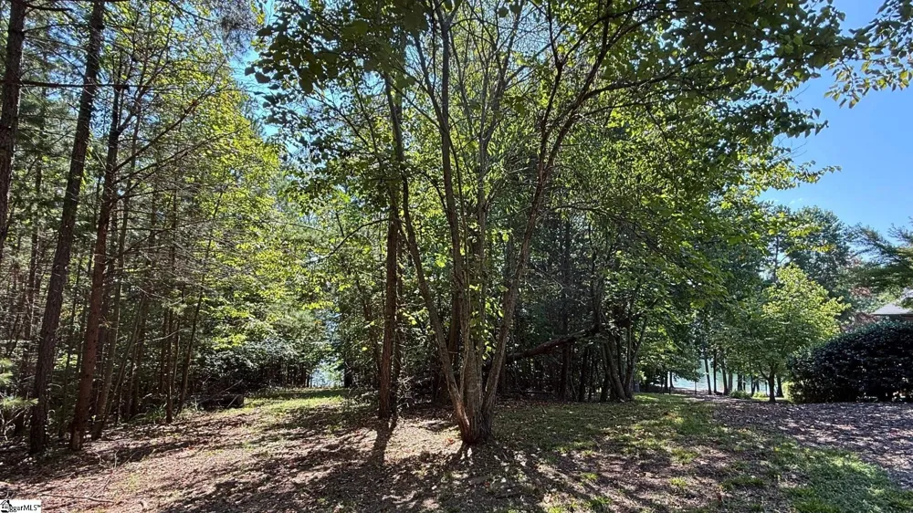 581 Big Creek Way Salem, SC 29676