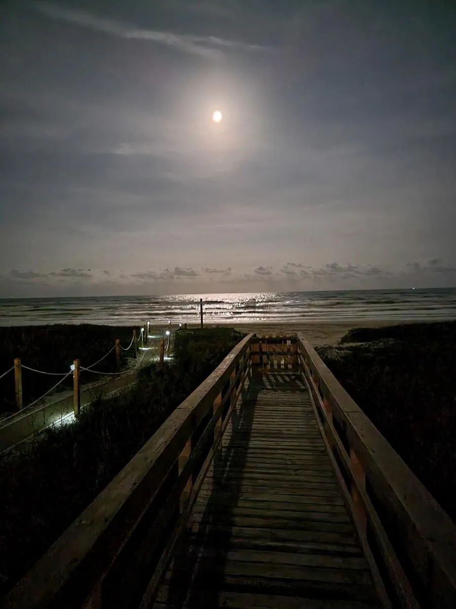 4312 Gulf Boulevard #1 