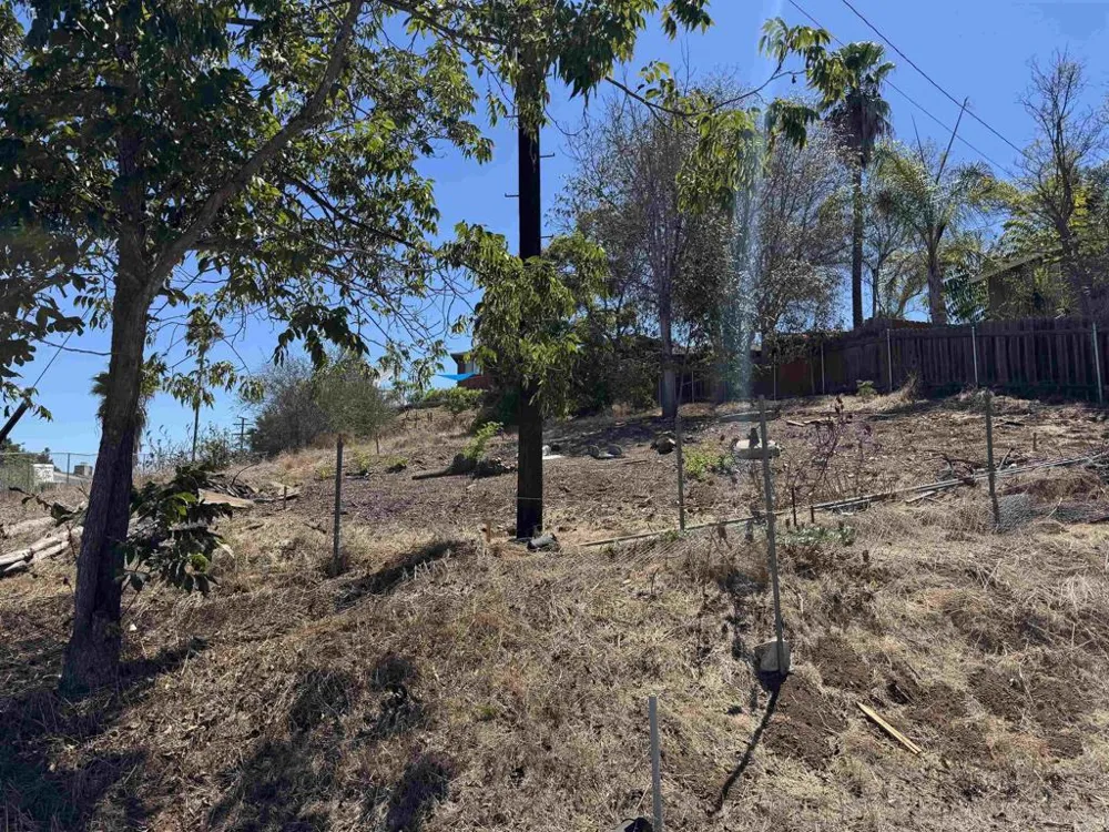 8965 Greenview Pl Spring Valley, CA 91977