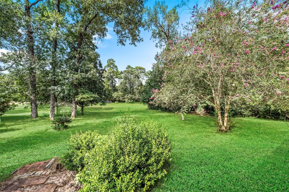 9069 Zapata Way Willis, TX 77378