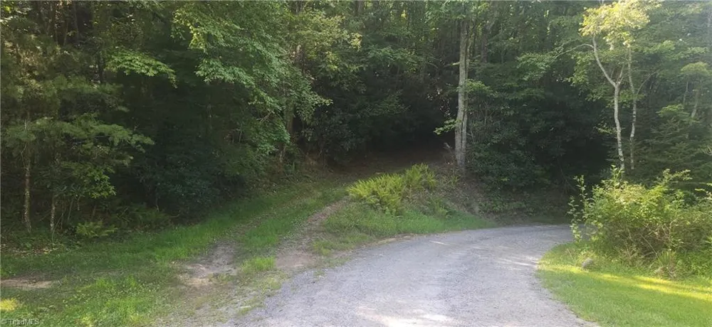 0 Lyons Road Roaring Gap, NC 28668