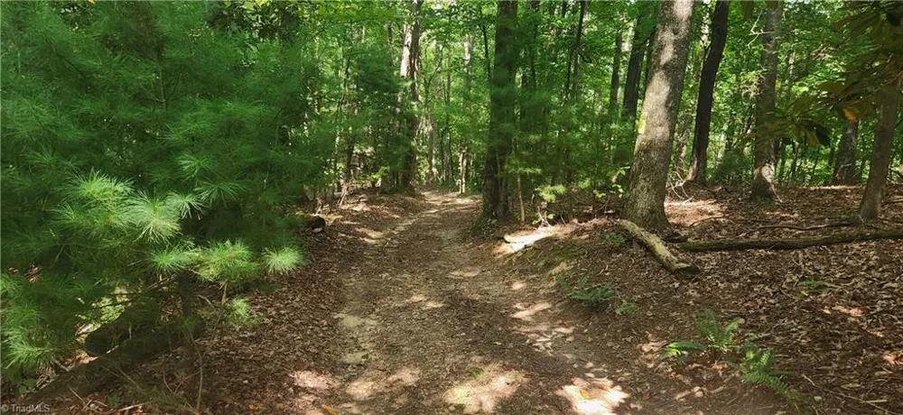 0 Lyons Road Roaring Gap, NC 28668