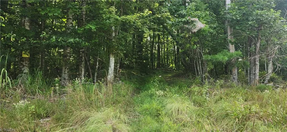 0 Lyons Road Roaring Gap, NC 28668
