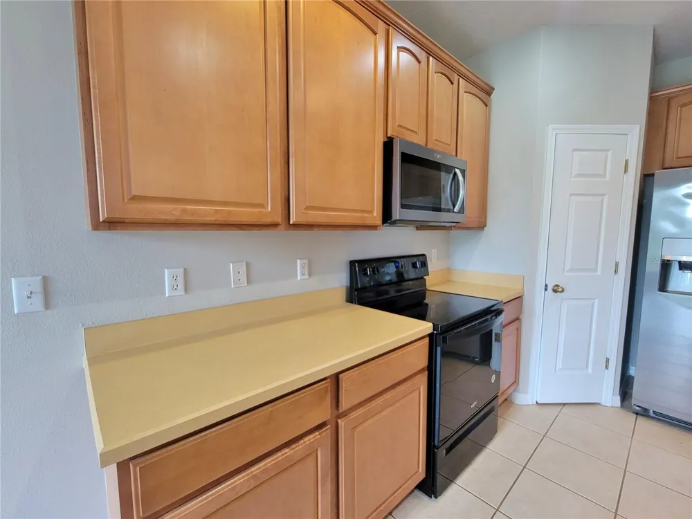 27822 PLEASURE RIDE LOOP Wesley Chapel, FL 33544