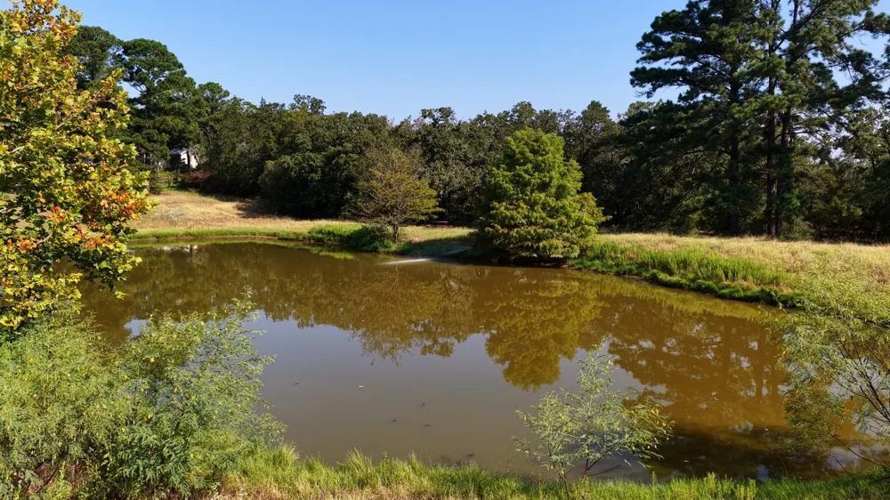 218 Little Ranch Road Red Rock, TX 78662