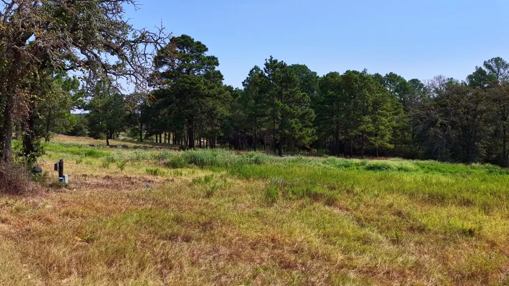 218 Little Ranch Road Red Rock, TX 78662