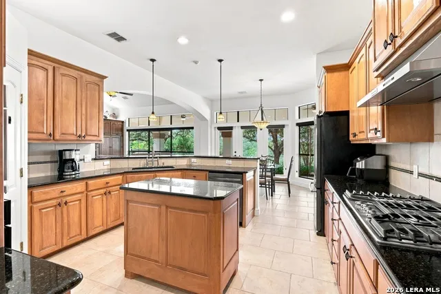 1017 Star Ridge Spring Branch, TX 78070