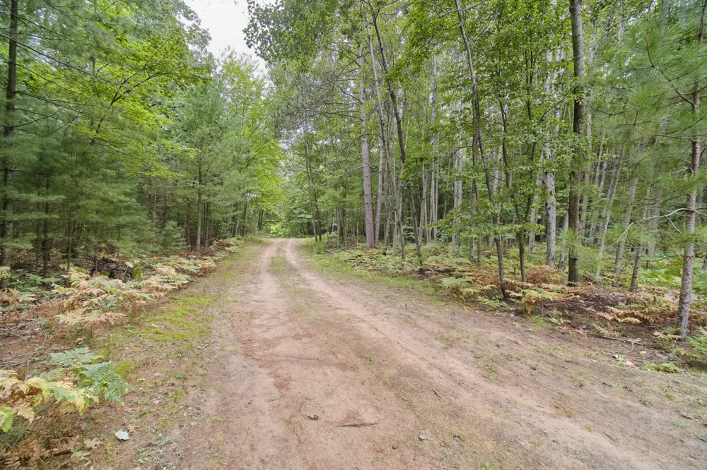 8089 Hunter's Ridge Trail Copemish, MI 49625