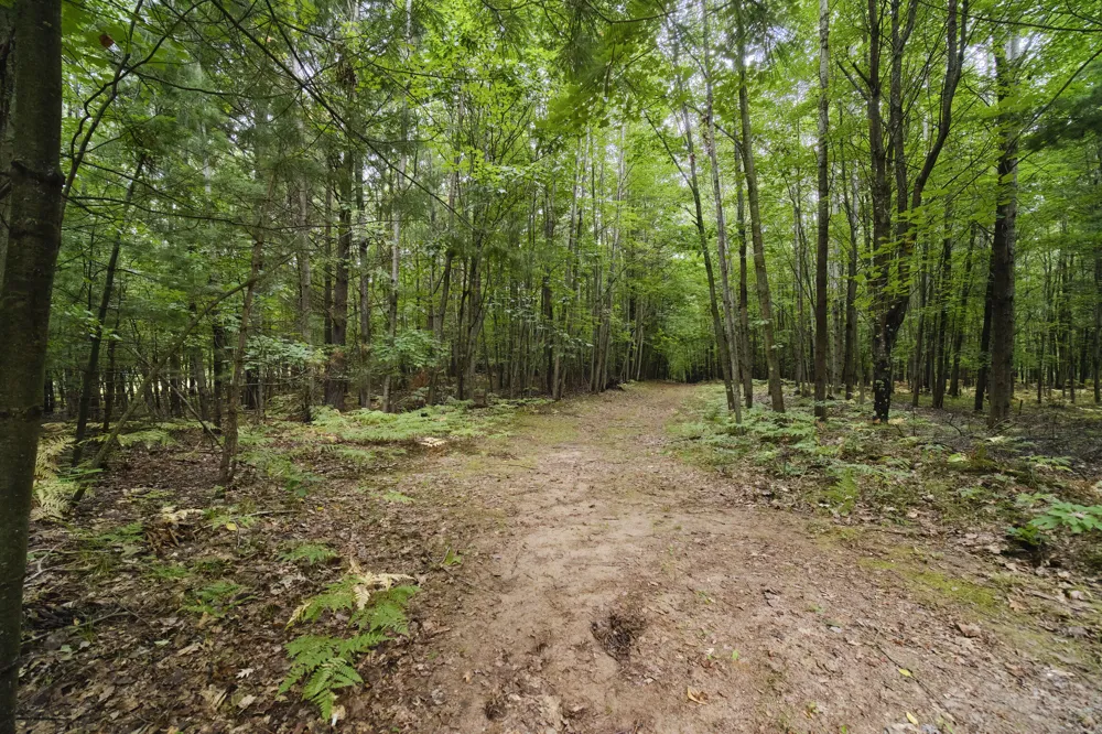 8089 Hunter's Ridge Trail Copemish, MI 49625