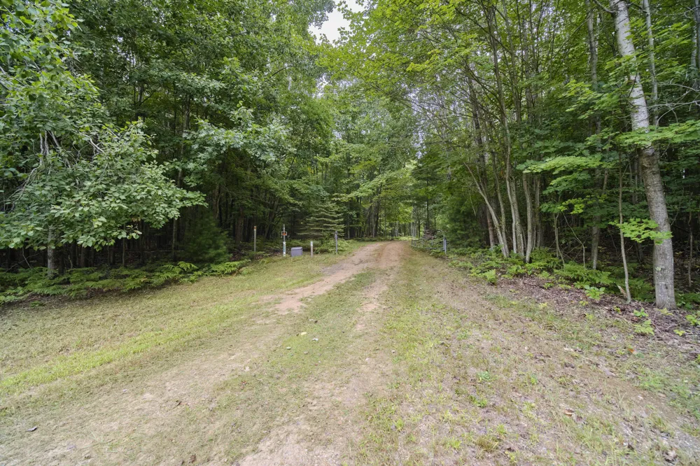 8089 Hunter's Ridge Trail Copemish, MI 49625