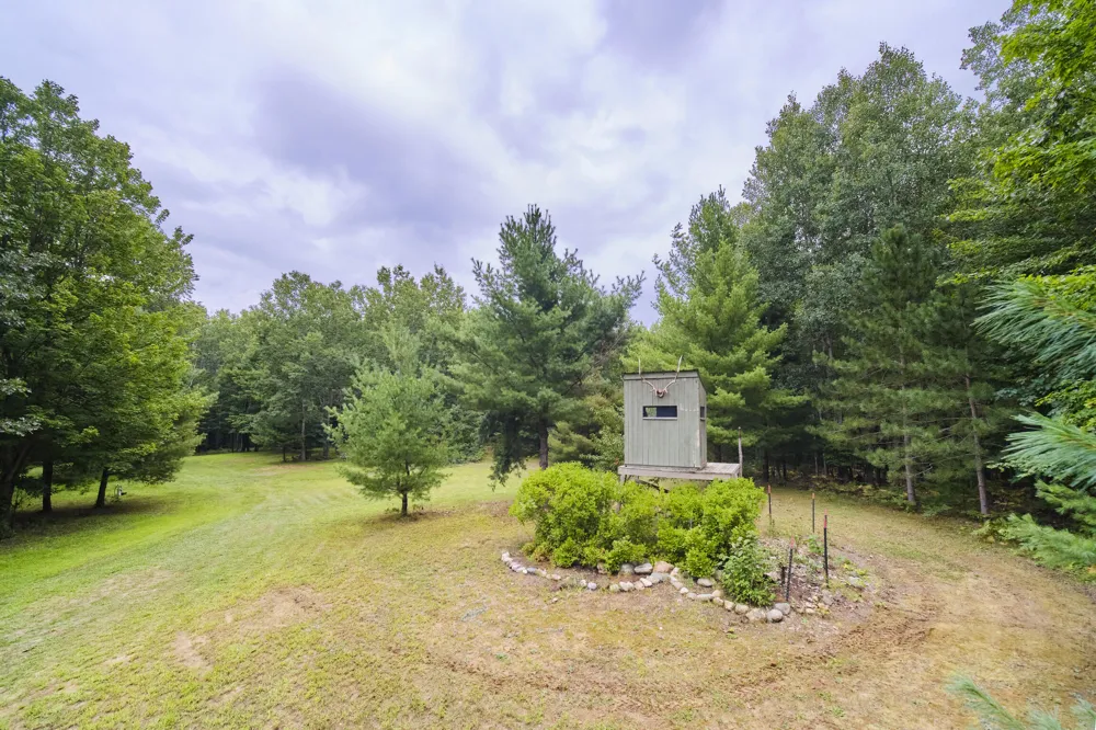 8089 Hunter's Ridge Trail Copemish, MI 49625