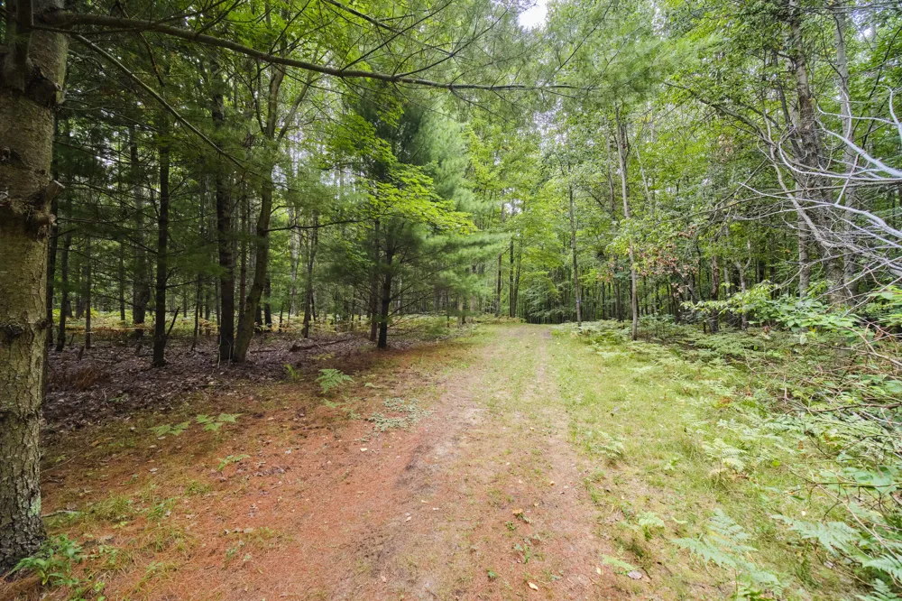 8089 Hunter's Ridge Trail Copemish, MI 49625