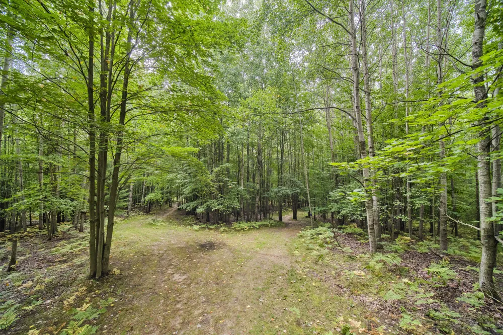 8089 Hunter's Ridge Trail Copemish, MI 49625