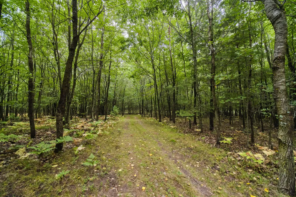 8089 Hunter's Ridge Trail Copemish, MI 49625