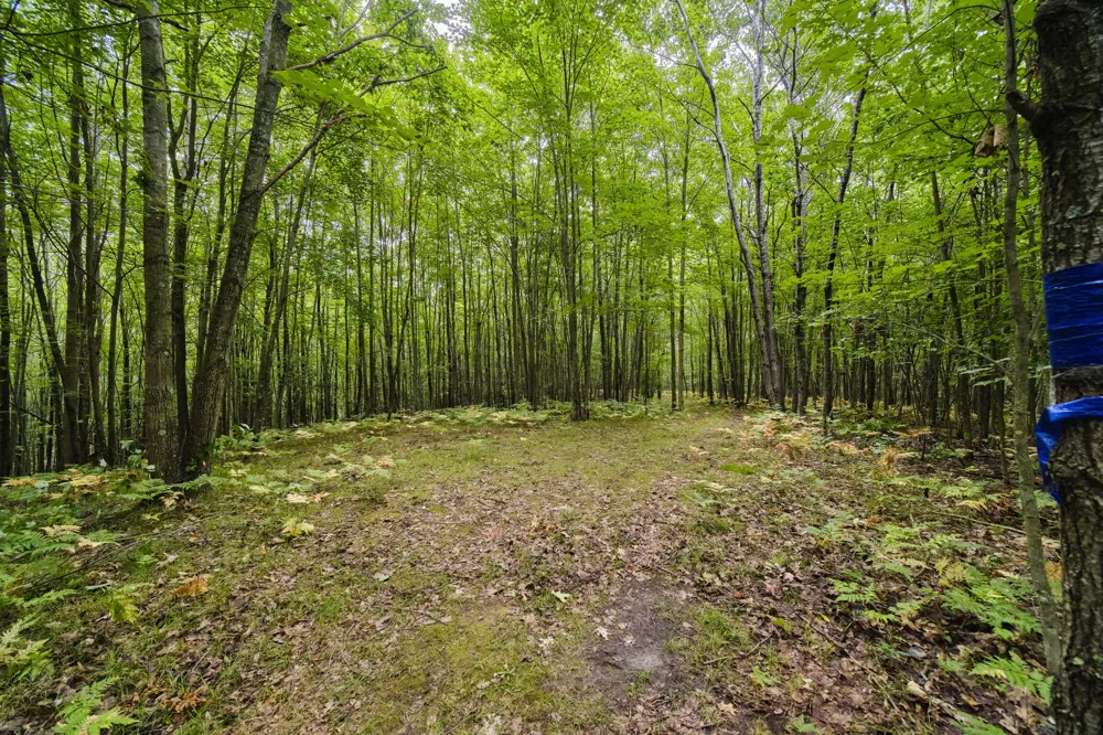 8089 Hunter's Ridge Trail Copemish, MI 49625