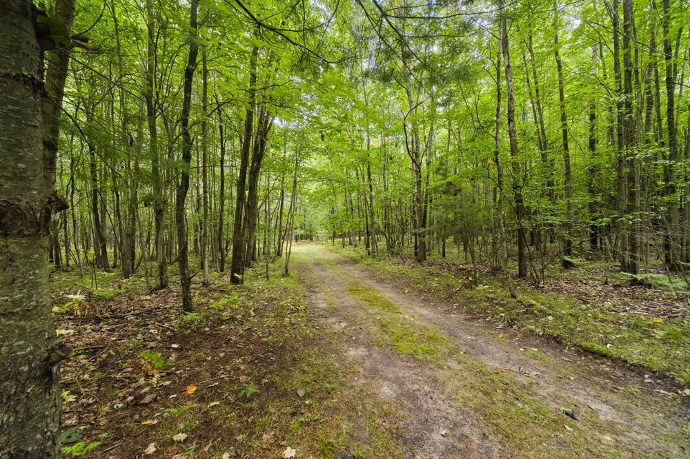 8089 Hunter's Ridge Trail Copemish, MI 49625