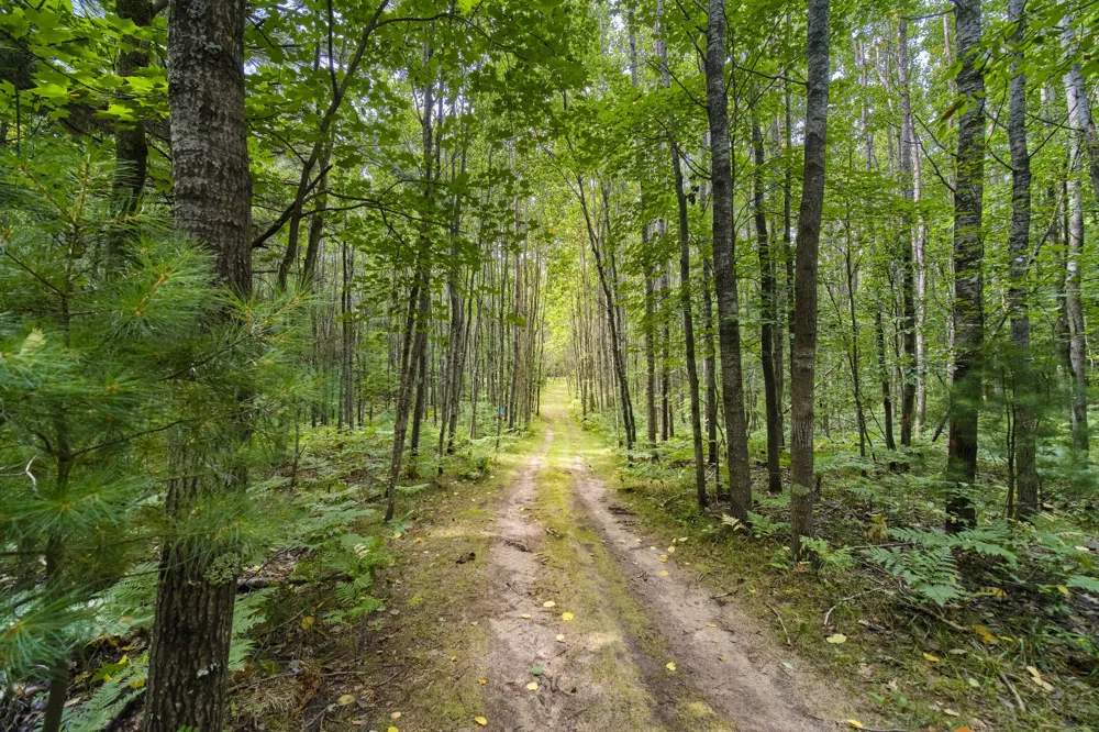 8089 Hunter's Ridge Trail Copemish, MI 49625