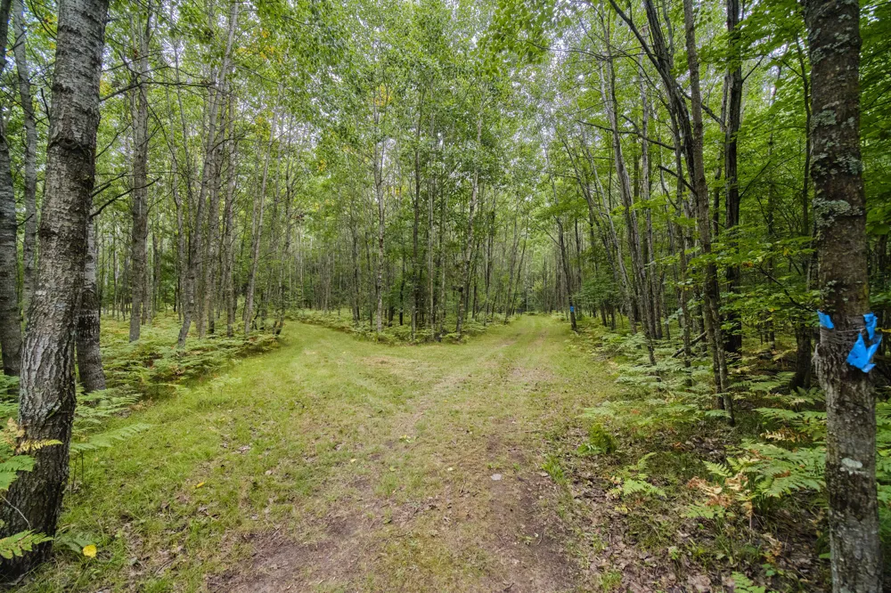 8089 Hunter's Ridge Trail Copemish, MI 49625