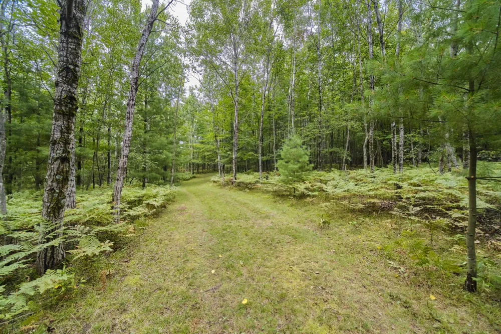 8089 Hunter's Ridge Trail Copemish, MI 49625