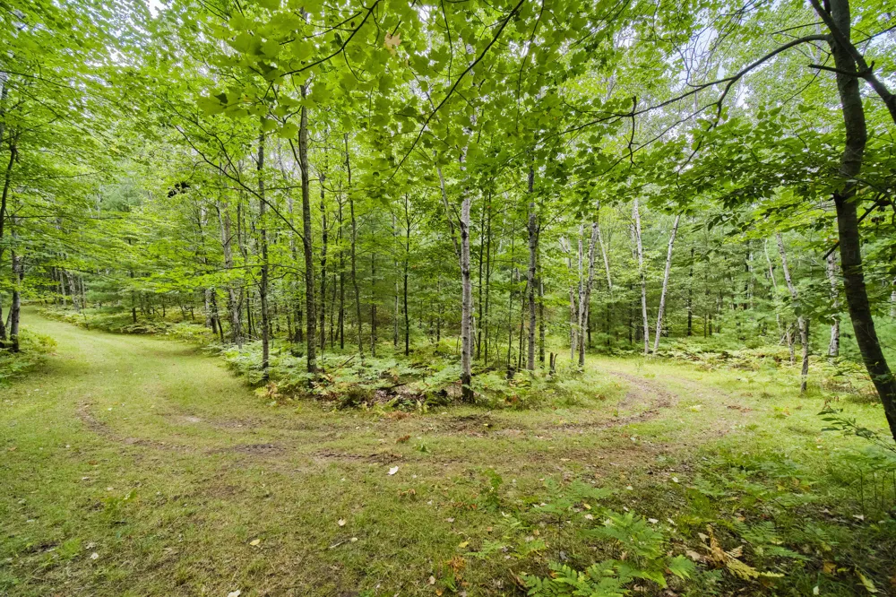 8089 Hunter's Ridge Trail Copemish, MI 49625