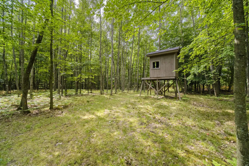 8089 Hunter's Ridge Trail Copemish, MI 49625