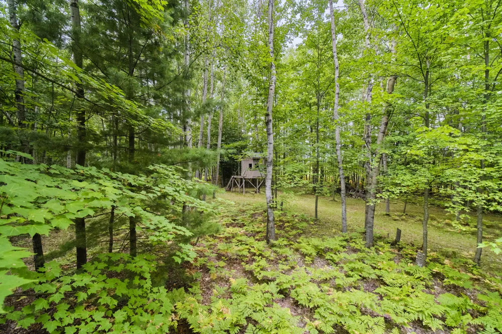 8089 Hunter's Ridge Trail Copemish, MI 49625