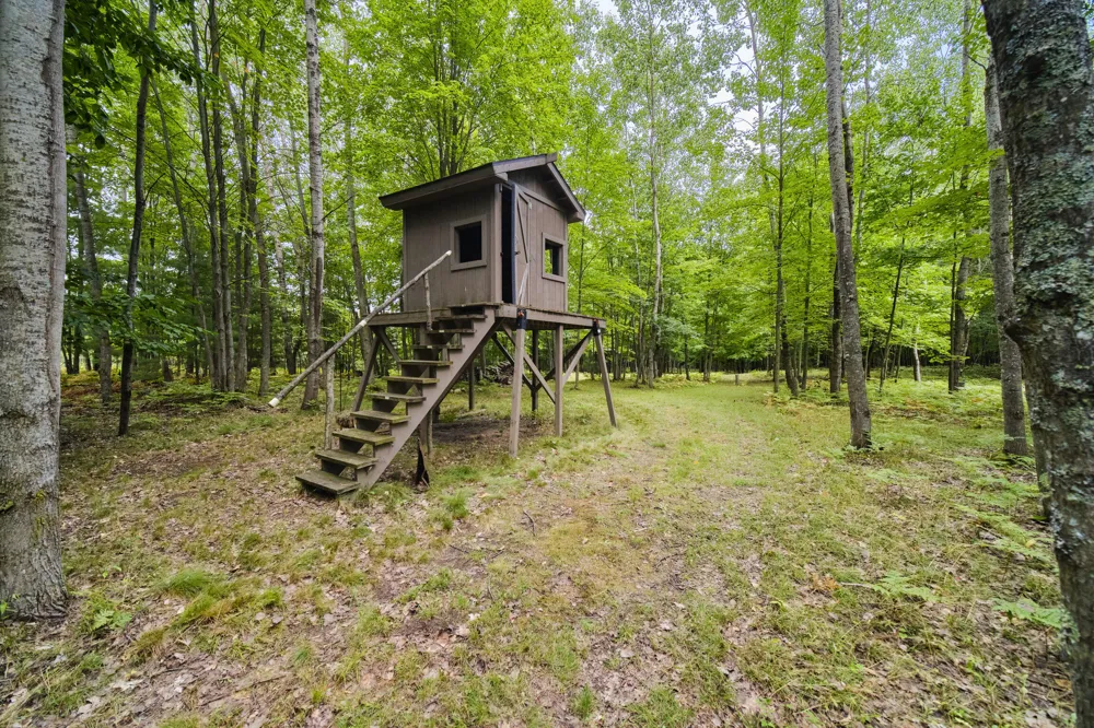 8089 Hunter's Ridge Trail Copemish, MI 49625