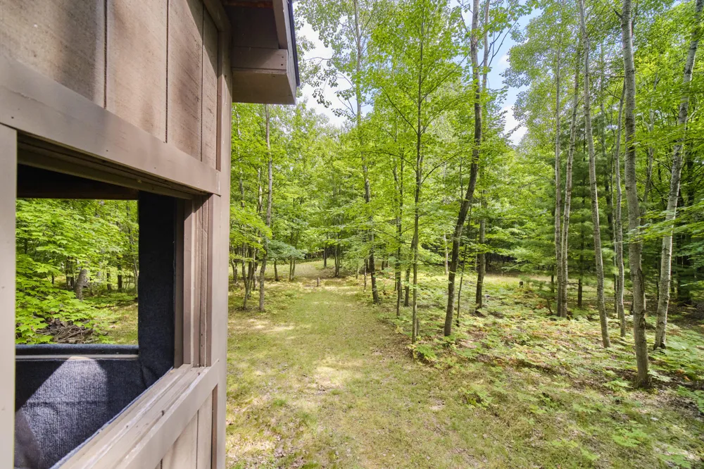 8089 Hunter's Ridge Trail Copemish, MI 49625