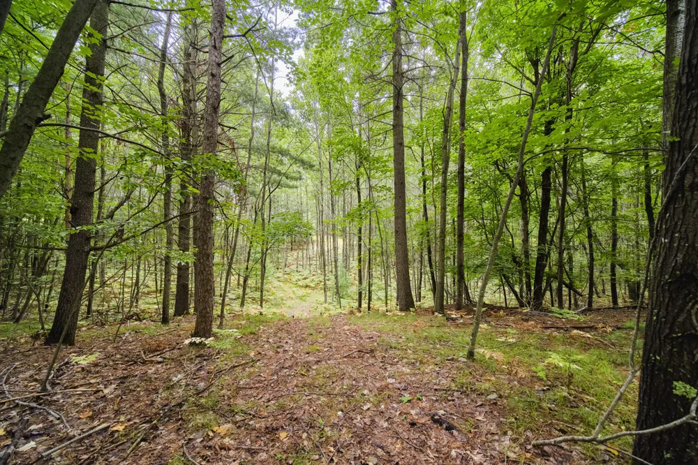 8089 Hunter's Ridge Trail Copemish, MI 49625