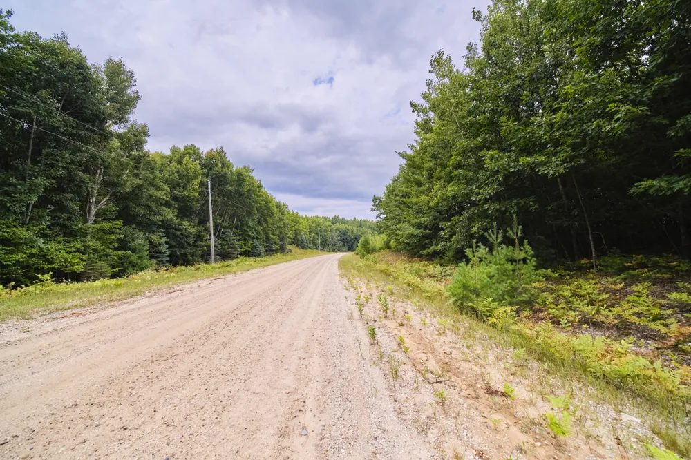 8089 Hunter's Ridge Trail Copemish, MI 49625