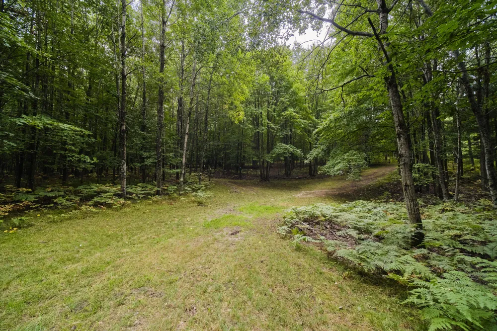 8089 Hunter's Ridge Trail Copemish, MI 49625