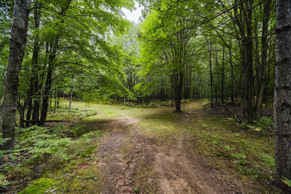 8089 Hunter's Ridge Trail Copemish, MI 49625