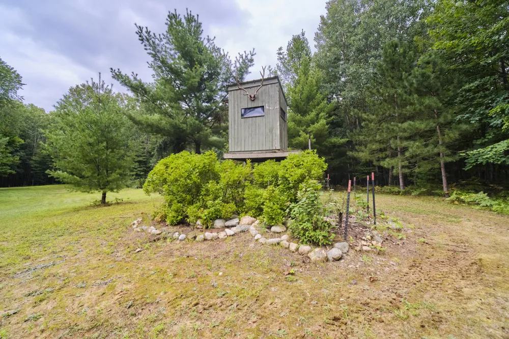 8089 Hunter's Ridge Trail Copemish, MI 49625