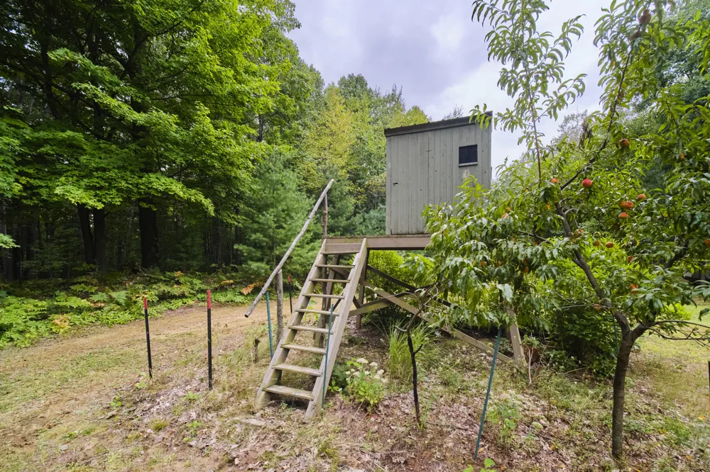 8089 Hunter's Ridge Trail Copemish, MI 49625
