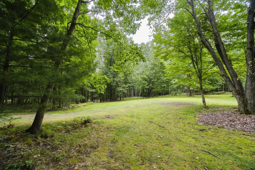 8089 Hunter's Ridge Trail Copemish, MI 49625