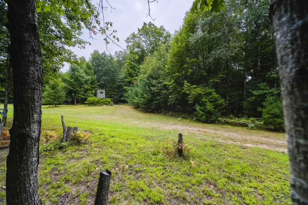8089 Hunter's Ridge Trail Copemish, MI 49625
