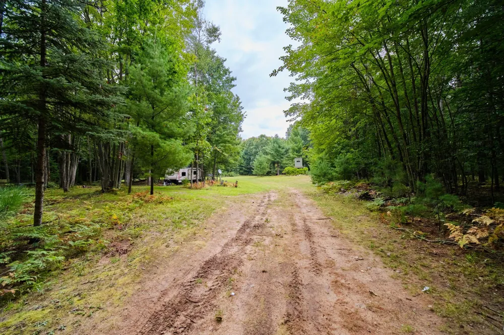 8089 Hunter's Ridge Trail Copemish, MI 49625