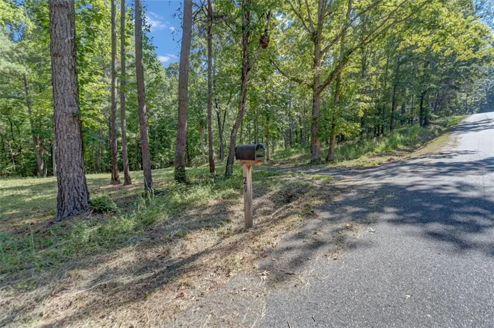 29 Chase Trail Dawsonville, GA 30534