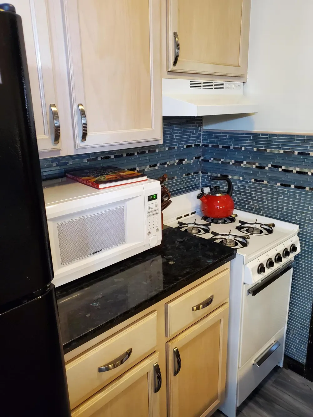 225 Shore Drive #004 South Haven, MI 49090