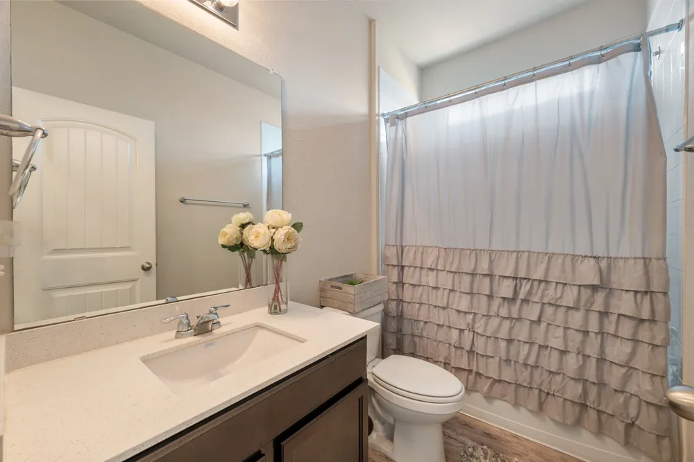 133 Empress Tree Drive Leander, TX 78641