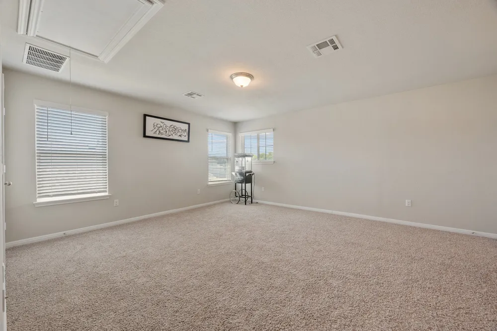 133 Empress Tree Drive Leander, TX 78641