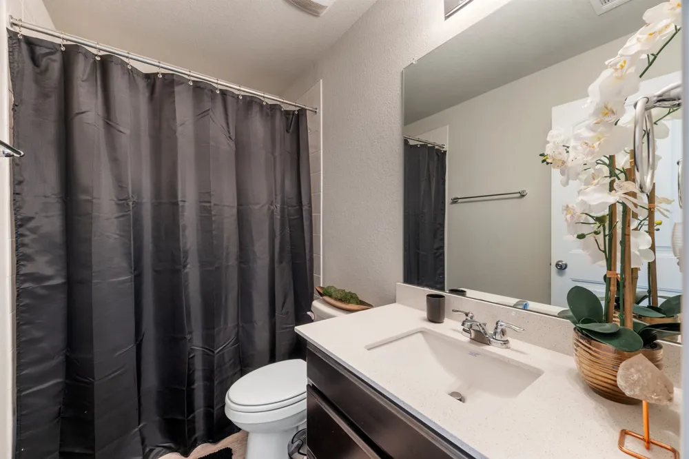 133 Empress Tree Drive Leander, TX 78641