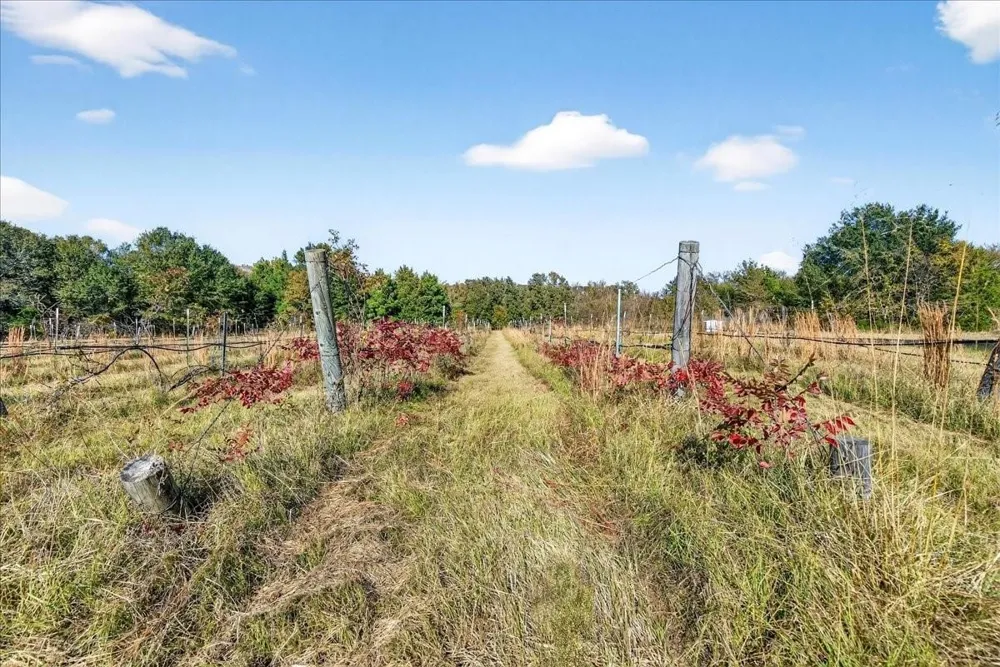1603 VZ CR 2908 Eustace, TX 75124