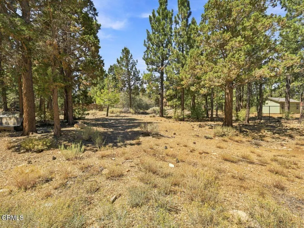 1099 Heritage Trail Big Bear, CA 92314